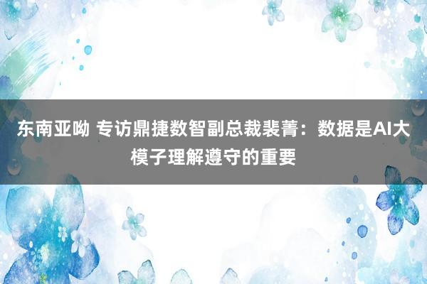 东南亚呦 专访鼎捷数智副总裁裴菁：数据是AI大模子理解遵守的重要
