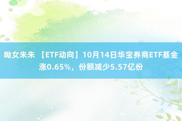 呦女朱朱 【ETF动向】10月14日华宝券商ETF基金涨0.65%，份额减少5.57亿份