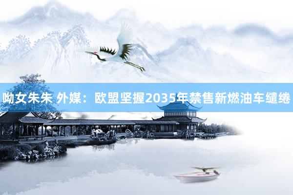 呦女朱朱 外媒：欧盟坚握2035年禁售新燃油车缱绻