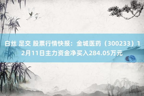白丝 足交 股票行情快报：金城医药（300233）12月11日主力资金净买入284.05万元