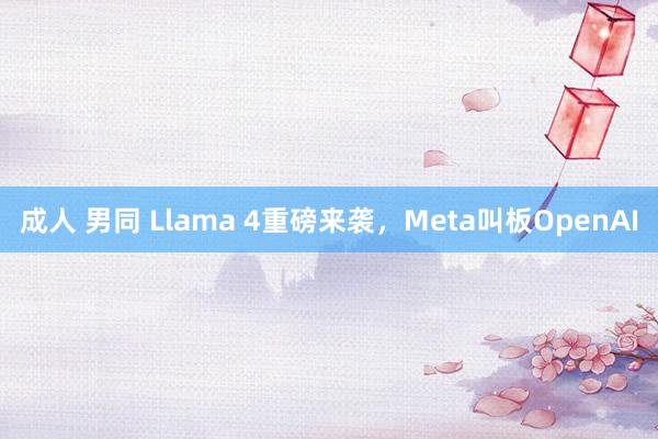 成人 男同 Llama 4重磅来袭，Meta叫板OpenAI