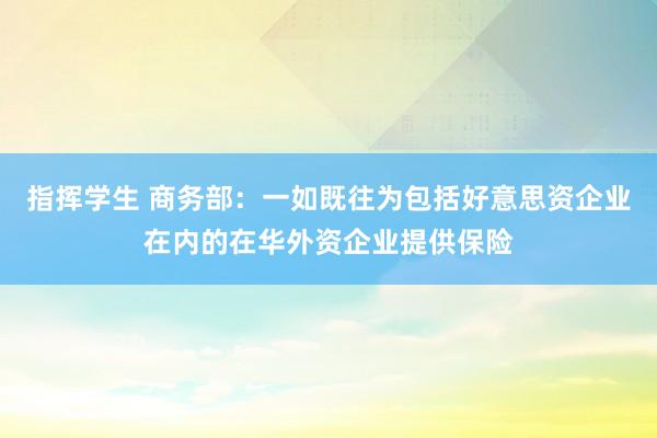 指挥学生 商务部：一如既往为包括好意思资企业在内的在华外资企业提供保险