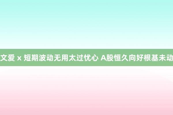 文爱 x 短期波动无用太过忧心 A股恒久向好根基未动